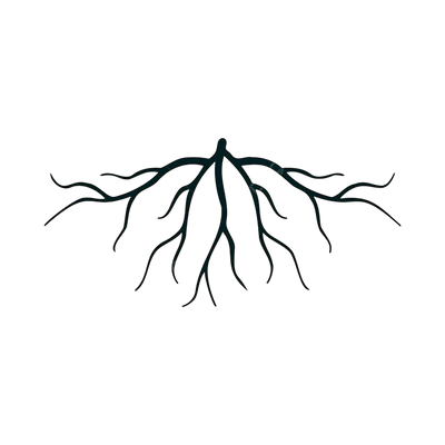 Crafted purely with herbs, plants & oils